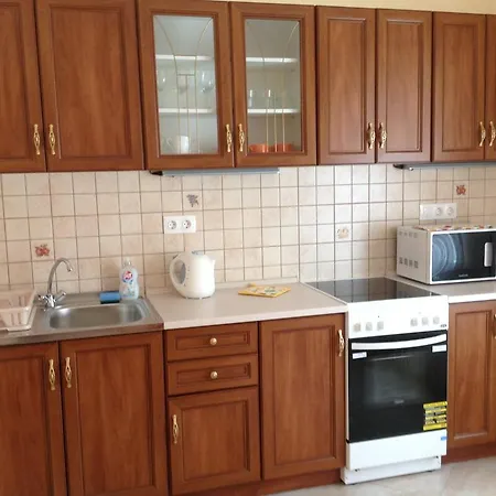 Apartment Galina