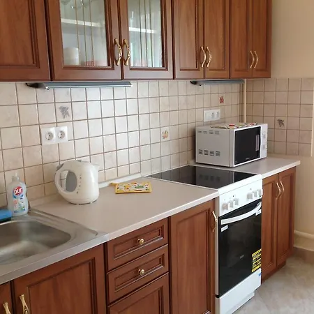 Apartment Galina
